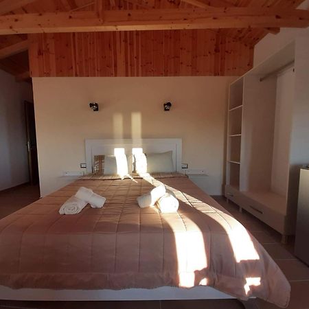 Guest House Luiza Borsh Rom bilde