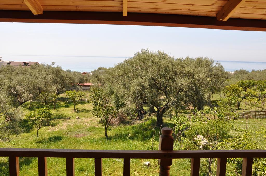 Guest House Luiza Borsh Rom bilde